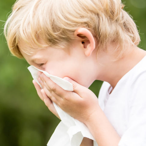 Allergic Rhinitis (AR) 2 – Advanced